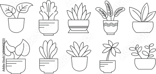 Different plant in pot for home decoration set. foliage Plants in pots vector illustration flowerpots collection. houseplants in flower pots in line