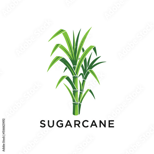 sugarcane plant logo vector