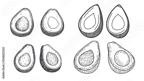 Line art illustration of a halved avocado showing the seed, minimalist and clean vector design highlighting natural fruit detail, healthy food concept, and organic lifestyle in a simple and elegant 