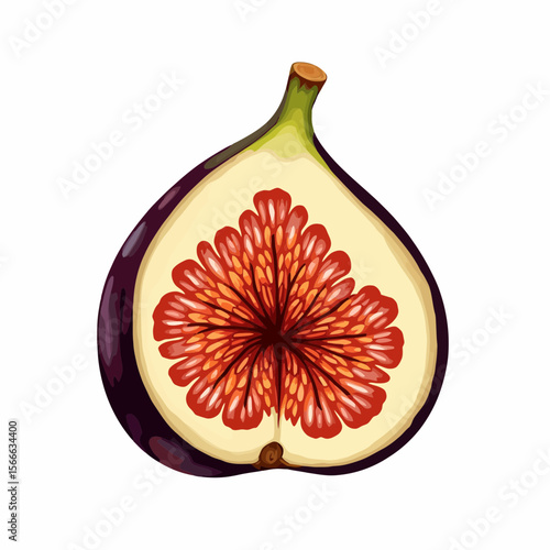 Fresh fig fruit sliced in half showing red seeds and flesh  