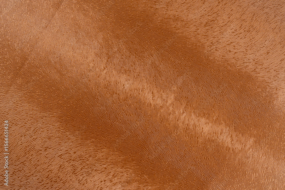 Fototapeta premium Brown macro leather texture, Synthetic leather brown background texture. Brown leather textured.