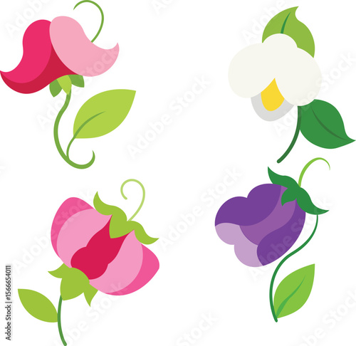 sweet pea flower vector in different colors