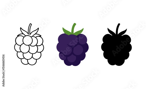 Triple berry art: outline, color, and silhouette of raspberry, blackberry, and blueberry