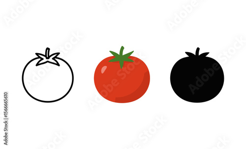 Tomato evolution: outline, colorful, and silhouette stages of tomato icon