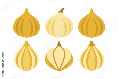 set of garlic icon vector illustration on white background