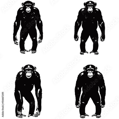 Chimpanzee Silhouette, Captivating silhouettes of chimpanzees in various poses, these simple yet powerful visuals capture the essence of these remarkable primates.