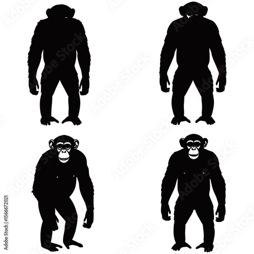 Chimpanzee Silhouette, Captivating silhouettes of chimpanzees in various poses, these simple yet powerful visuals capture the essence of these remarkable primates.