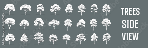 Architectural Drawings Treed vector illustration, side view, trees  Minimal style hand drawn. Sections, Elevations, Floor Plans