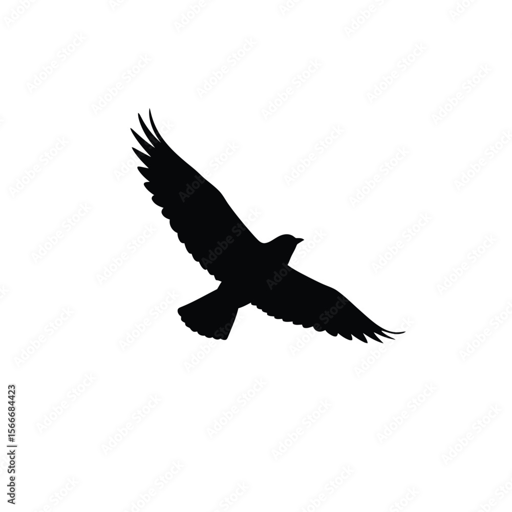 Fototapeta premium Silhouette of a Bird in Flight