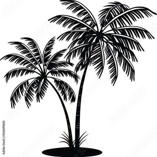 Silhouette of a Palm Tree Against a Tropical Sky Design Element