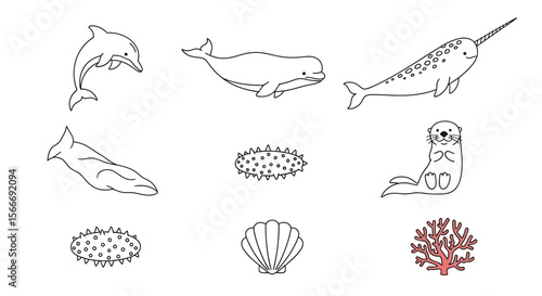 Vector cute ocean animal illustration drawing of dolphin beluga whale narwhal otter coral and sea shell line art vector
