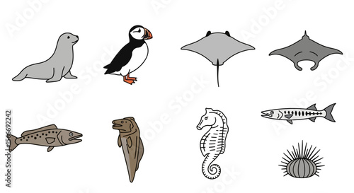 Vector illustration of sea creatures including puffin seal stingray seahorse barracuda eel and sea urchin