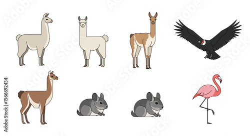 Vector illustration of south american animals including llama guanaco chinchilla condor and flamingo vector image