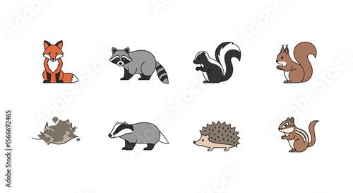 Vector illustration of forest animals fox raccoon skunk squirrel opossum badger hedgehog chipmunk vector art image