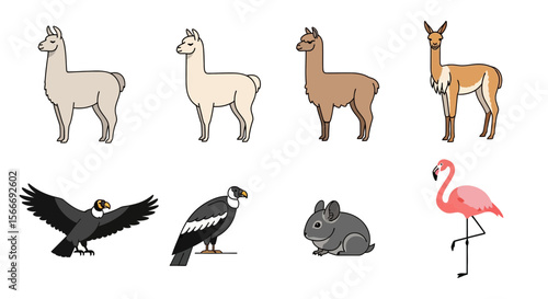 Vector illustration of south american animals llama vicuna andean condor chinchilla and flamingo vector art