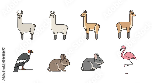 Vector illustration of south american animals llama condor rabbit and flamingo vector design wildlife fauna drawing 100