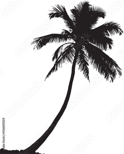 Palm Tree Leaning Trunk slightly bent or tilted to one side, with fronds extending from the top in a slanted direction. full length silhouette black vector illustration