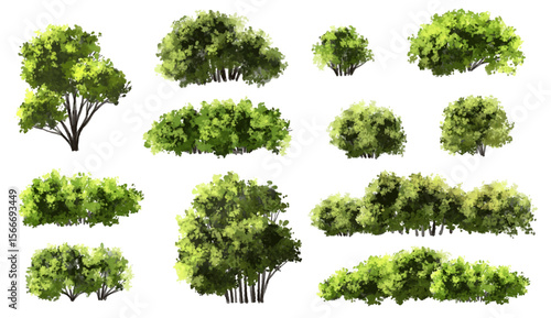  Vector watercolor green  tree or forest side view isolated on white background for landscape and architecture drawing,elements for environment or and garden,Shrub for section