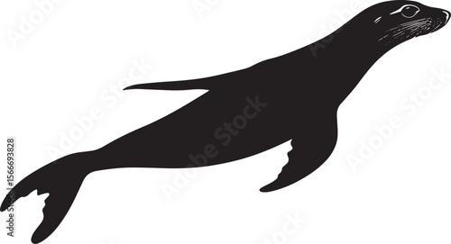 Sea Lion Swimming Body streamlined with flippers extended, gliding through the water with ease. full length silhouette black vector illustration