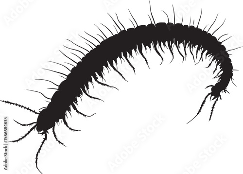 Centipede Resting Body still with legs tucked under, extending slightly along the surface. full length silhouette black vector illustration