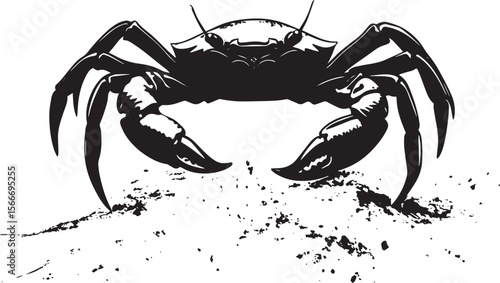 Crab in Digging Position Front legs and claws engaged in the sand, body lowered with legs extended for effective excavation. Full-length silhouette black vector design.