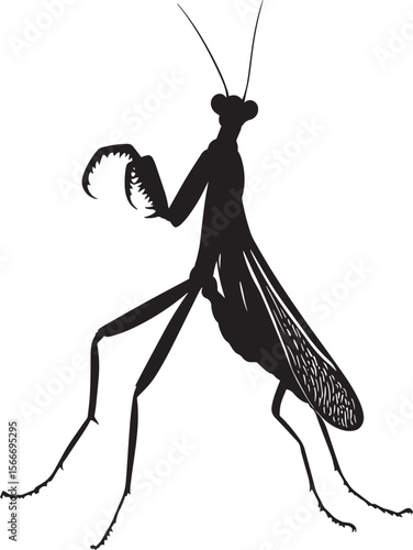 Praying Mantis Defending Body raised, forelegs spread wide in a threatening posture, wings slightly open. full length silhouette black vector illustration