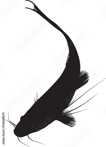 Catfish Feeding Head angled down with whiskers actively searching for food along the bottom. full length silhouette black vector illustration