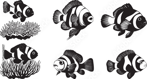 Clownfish Playing Darting playfully around the anemone or coral, quick, sharp turns with fins extended. full length silhouette black vector illustration