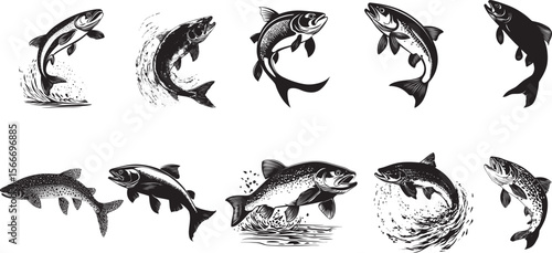 Trout Spawning Body angled in shallow water with fins extended and tail flicking while laying eggs. full length silhouette black vector illustration