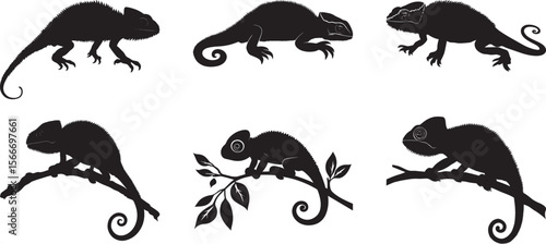 Chameleon Basking Lying on a warm surface body extended absorbing heat from the sun. full length silhouette black vector illustration