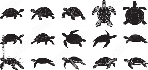 Turtle Resting in Water Floating with only head and upper shell visible, legs relaxed. full length silhouette black vector illustration