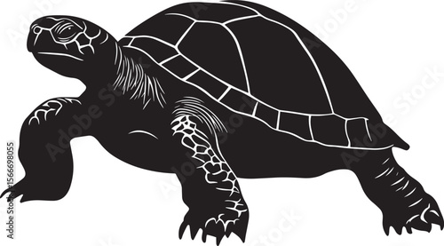 Turtle Eating Head lowered, beak nibbling on food with legs slightly extended. full length silhouette black vector illustration