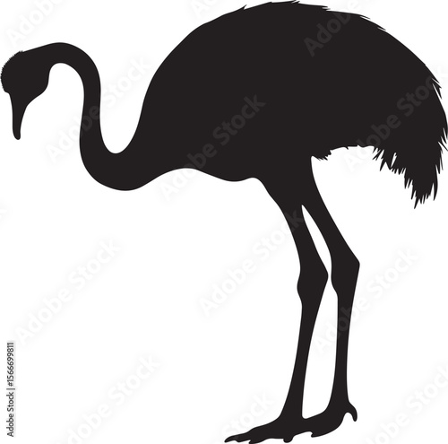 Ostrich standing alert neck elongated, head raised, and wings closely held in a complete silhouette illustration.