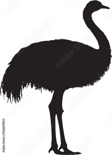 Ostrich in care using its beak to preen its feathers, body angled slightly for better access in a black vector outline.