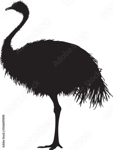 Ostrich maintaining beak reaching back to tidy its plumage, body turned slightly in a complete silhouette illustration.