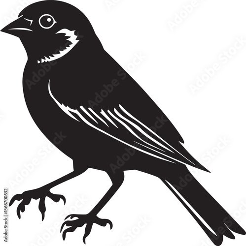 Sparrow Communicating Body upright head forward wings slightly spread. full length silhouette black vector illustration