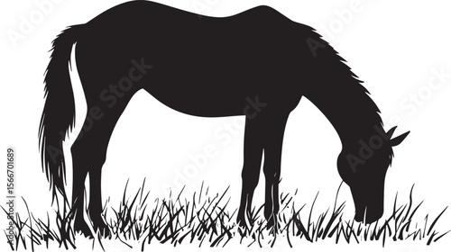 Horse Grazing Head down front legs slightly bent nibbling grass. full length silhouette black vector illustration