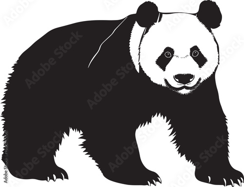 Panda Sniffing Nose forward, body slightly crouched, alert posture. full length silhouette black vector illustration