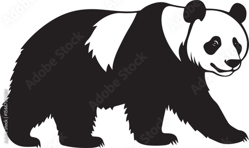 Panda Walking Slow, deliberate steps, body hunched slightly, tail trailing. full length silhouette black vector illustration