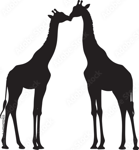 Giraffe Playing Engaging with another giraffe, necks entwined or gently pushing each other. full length silhouette black vector illustration