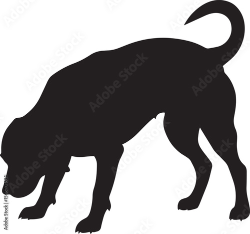 Dog Sniffing the Ground Silhouette A dog with its head lowered and tail raised, intently sniffing the ground, full-length black silhouette vector illustration.