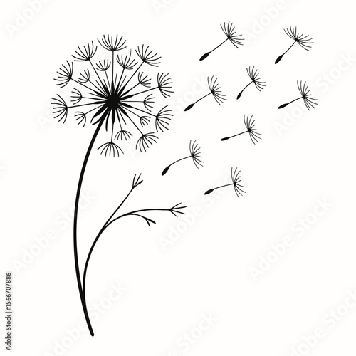 Minimalist Hand Drawn Dandelion Flower with Flying Seeds Illustration