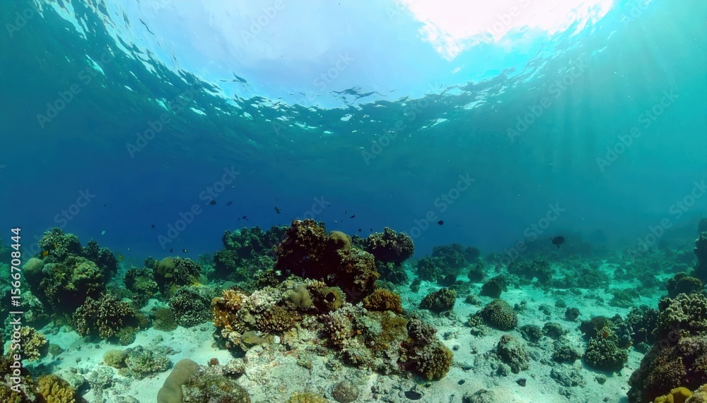 Fototapeta premium Vivid underwater scene with coral reef, fishes, and light beams