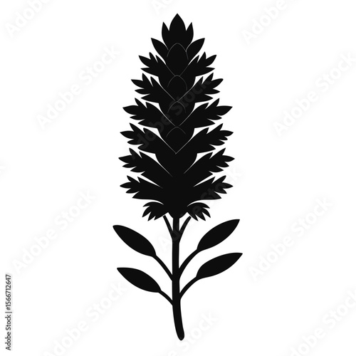 larch flower silhouette on white background