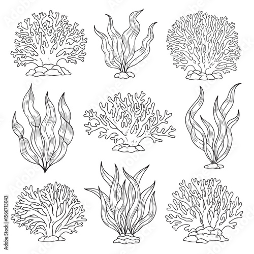 Underwater Wonders: A Coral Reef Coloring Adventure