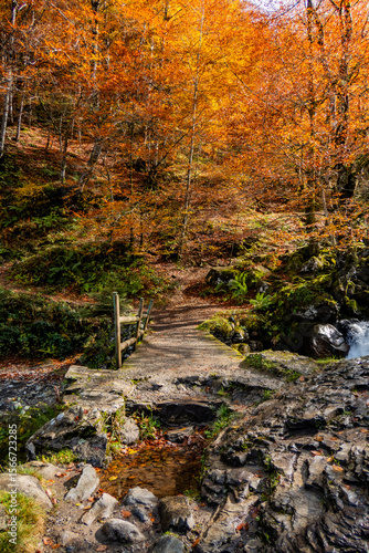 Petit pont sur le chemin de la cascade d’ars a Aulus les Bains dans l’Ariège en occitanie