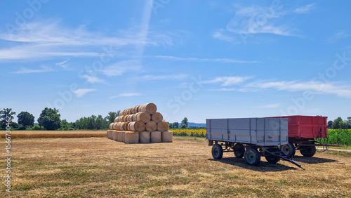Large stack of round hay bales on a dry summer field under blue sky