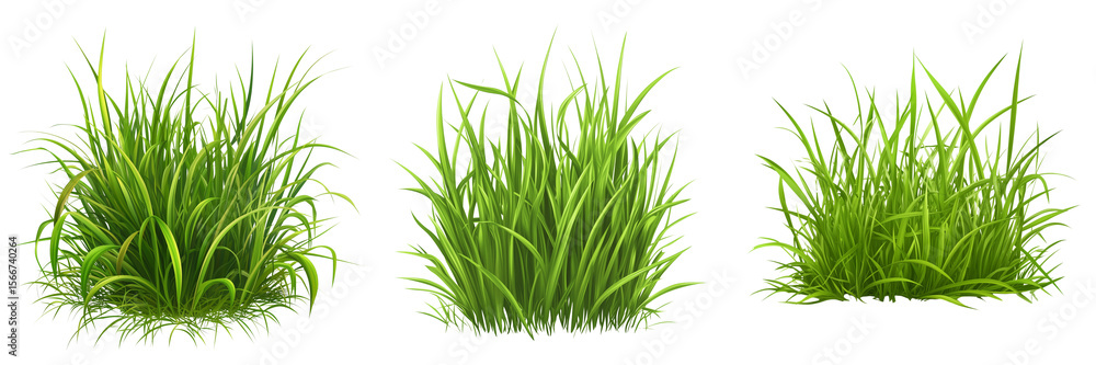 Obraz premium Set of A neatly arranged bundle of bright green grass stems lying flat on a clean white surface on transparent png background. Ai generated