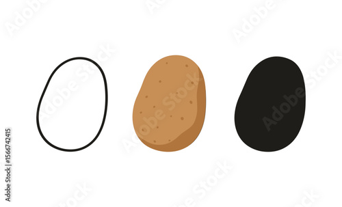 Evolution of a potato from outline to colorful realism and shadowed silhouette