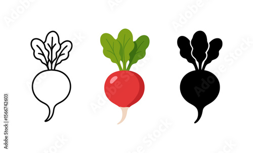 Radish icon set: outline, color, silhouette variations for design use